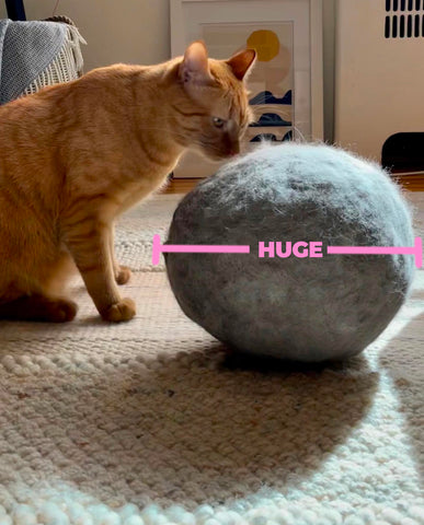 Cat with Giant Furball Hairball Challenge