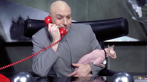 Mr Bigglesworth the hairless Spynx cat from Austin Powers being held by dr evil while he's talking into a red phone