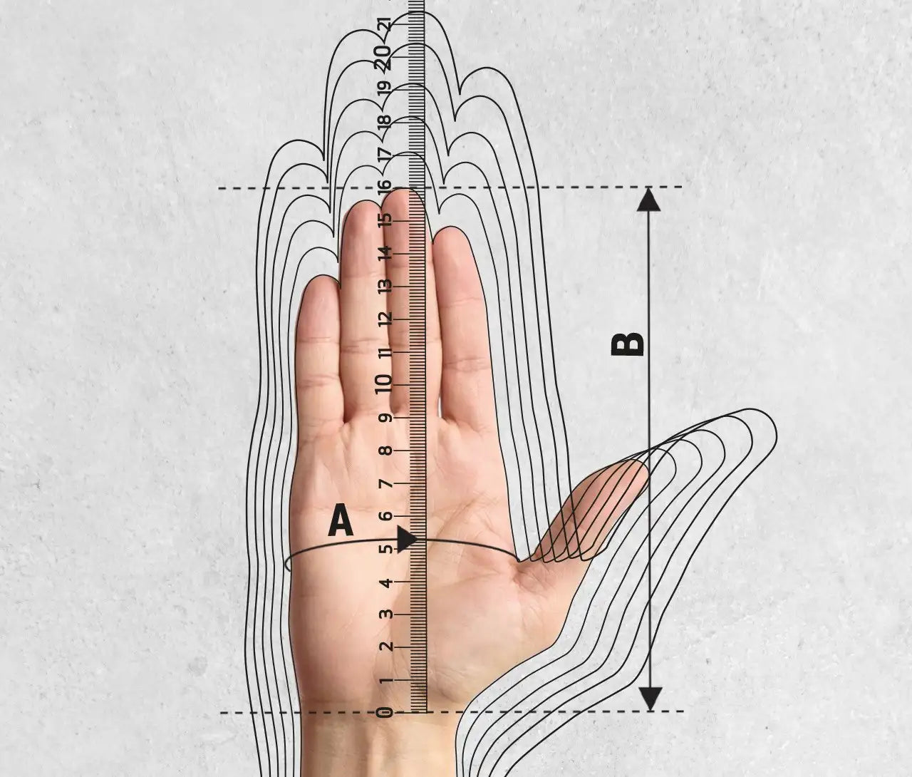 hand-measurement-1280-x-1090-px.webp__PID:ca1f04b7-50c2-47fd-8be6-7b067380d08e