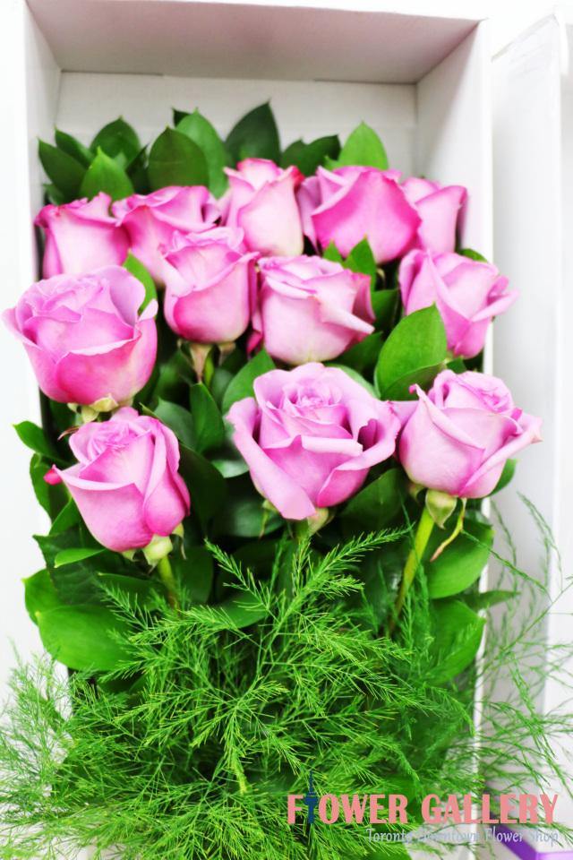 12 Purple Roses In A Box - Flower & Plant Free Delivery | Toronto Flower  Shop – Toronto Flower Gallery