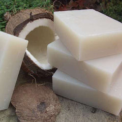 How to Make Easy Homemade Coconut Oil Soap – B&B Organics