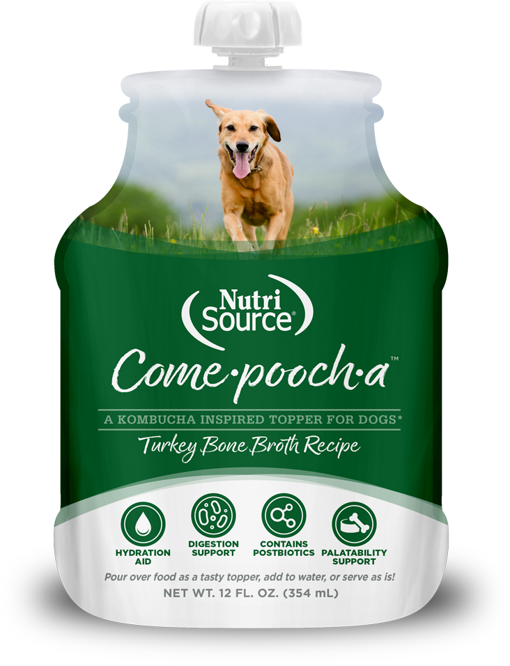 NutriSource Come-pooch-a Turkey Bone Broth for Dogs
