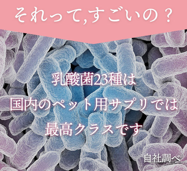 乳酸菌23種は、国内のペット用サプリでは最高クラス