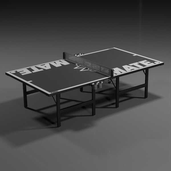 Outdoor ping pong Table
