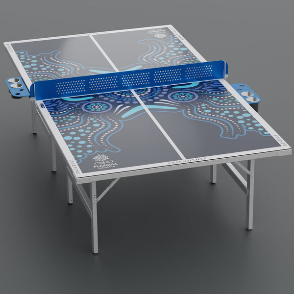 Table tennis equipment for schools