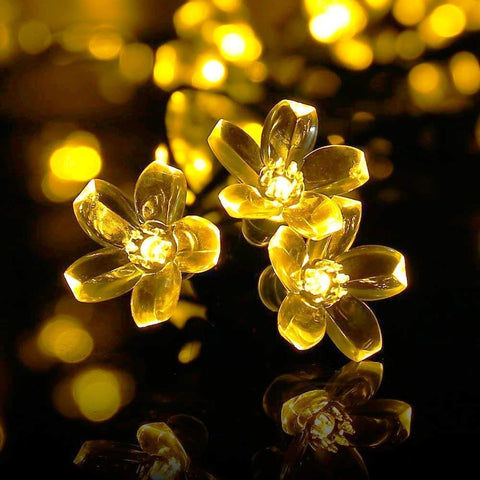 blossom flower string lights