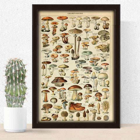 mushrooms poster