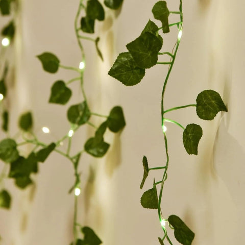 ivy string lights