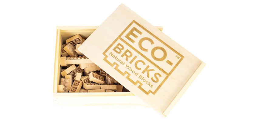 Eco Bricks