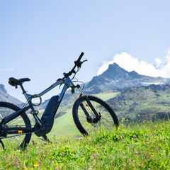 e-bike, am berg oder in der stadt ein zuverlässiges verkehrsmittel