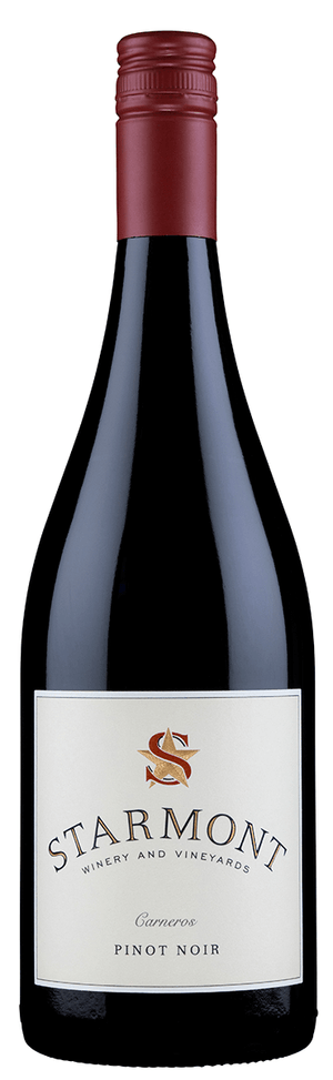 2020 Chilensis Reserva Pinot Noir, Maule Valley, Chile (750ml) – Woods  Wholesale Wine