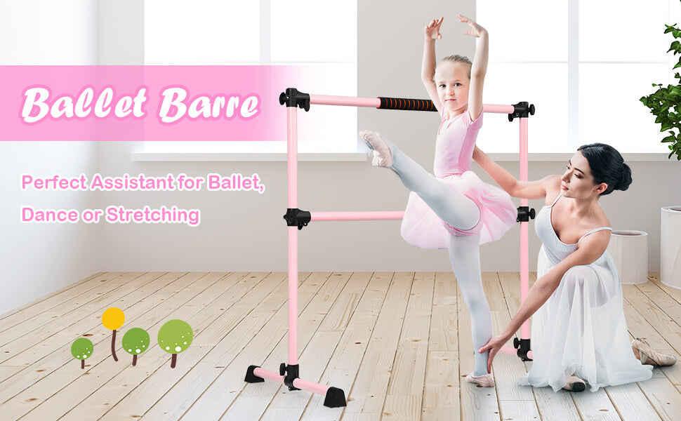 Portable Ballet Bar with Double Barres