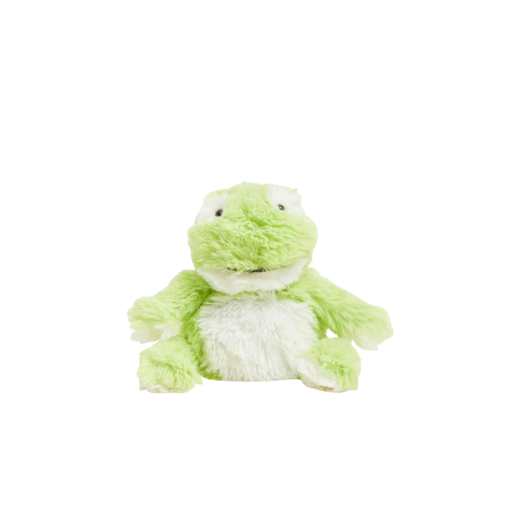 https://cdn.shopify.com/s/files/1/0566/6963/4747/products/JuniorFrog_1024x1024.png?v=1679424540