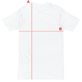 flat shirt measurement mock