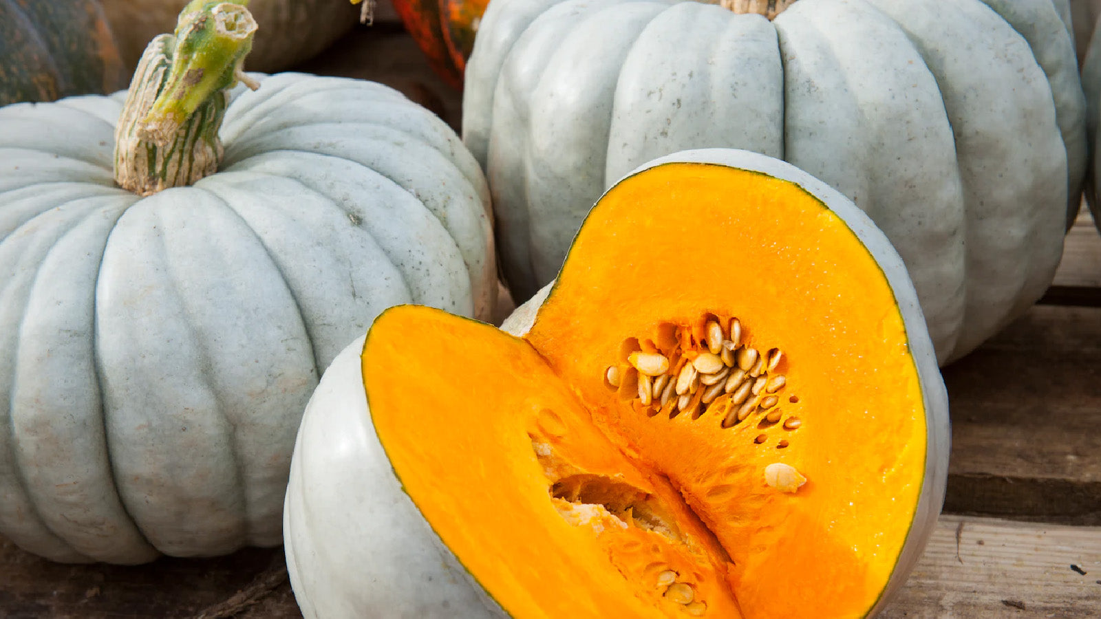 Hungarian Blue Pumpkin