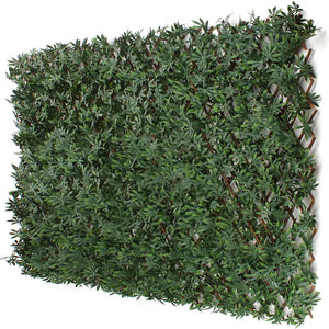 Cannabis Greenery Trellis - 3rd Street Inn Greenery