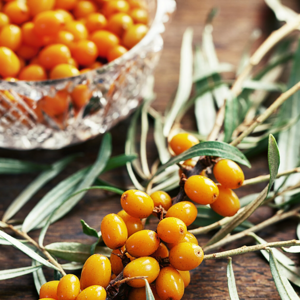 Sea buckthorn перевод. Sea Buckthorn Элантра. Облепиха фуд.