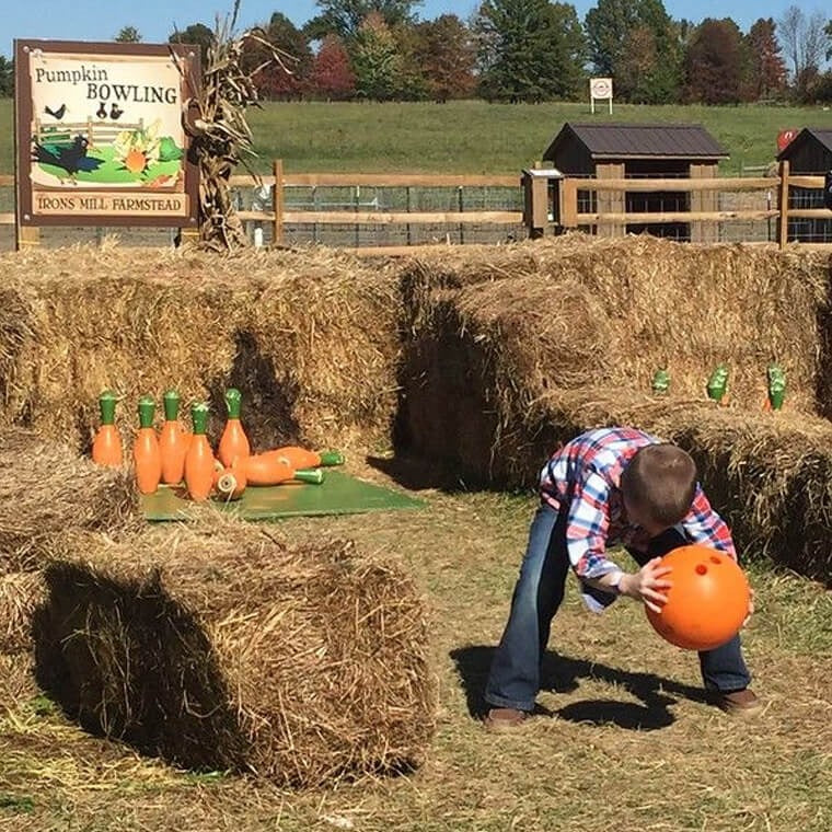 Fall Family Fun Things To Do and Eat at Irons Mill – Irons Mill Farmstead