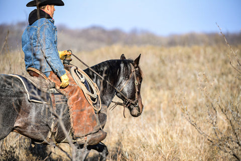 AQHA World CHampions Chris LIttlefield and The Darkk Side