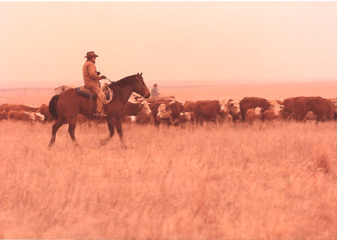 D E Reese Priddy Ranch Clay County Texas