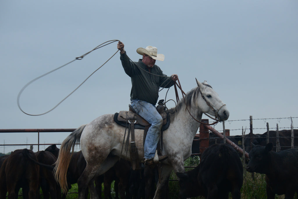 Clay County cowboy Rowdy Seward has been day working at the Wellborn 2R Ranch for many years. He's handy with a horse and a rope.