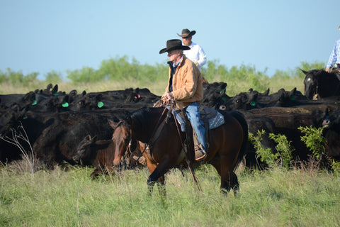 Wellborn 2R Ranch Cowboy Earl Wayne Reese with Angus Cattle herd