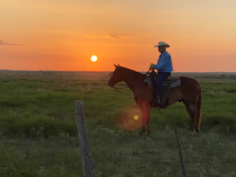 Wellborn 2R Ranch Cowboy Earl Wayne Reese