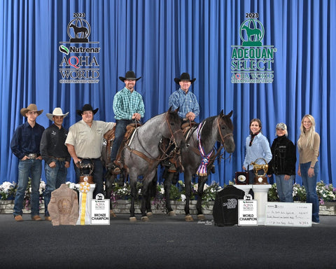 The Darkk Side was crowned AQHA champion