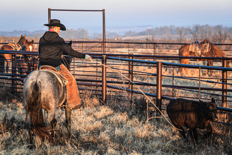 CHris Littlefield and The Darkk Side roping calves in the branding pen at the Wellborn 2R Ranch