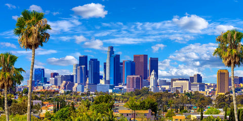 los angeles masjid