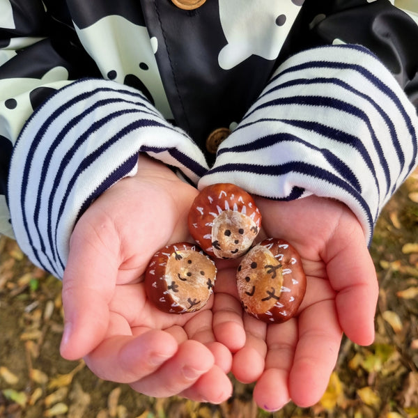 Child holding 3 conkers with faces on