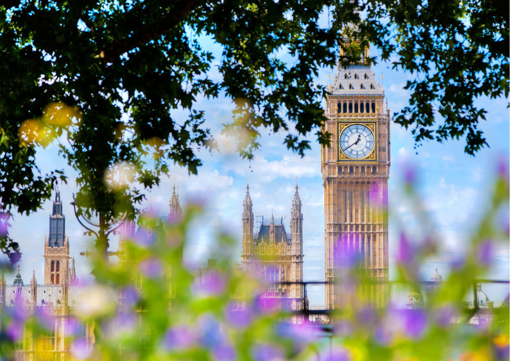 Big Ben with flowers and trees in the foreground