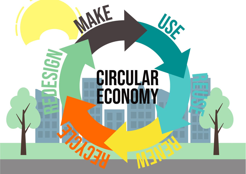 Graphic showing Circular Economy example