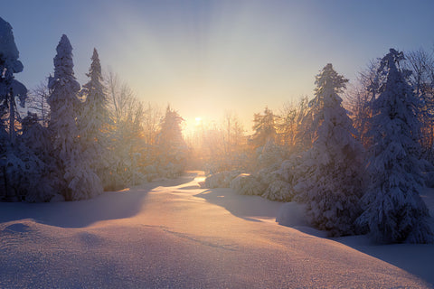 winter solstice landscape