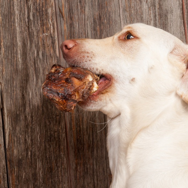 are smoked marrow bones safe for dogs