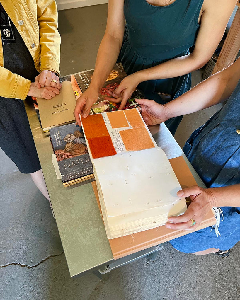 a book of dye experiments