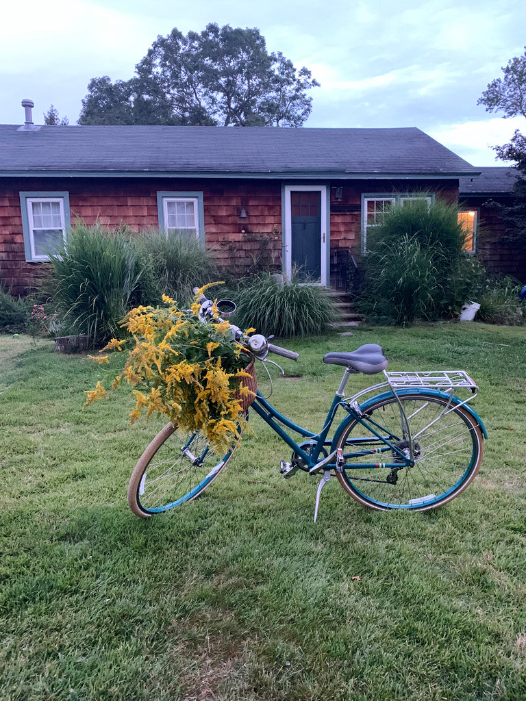 bike with foraged goldenrod in the basket