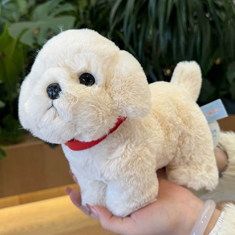 Peluche Bichon Frise mignon en peluche triver