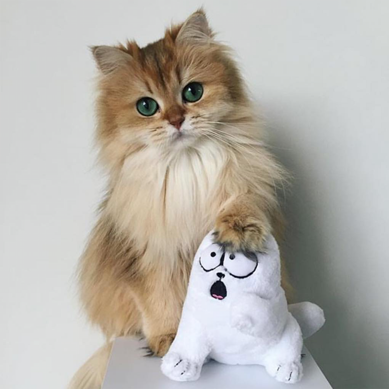 Funny Simon's Cat Plush Toy Stuffed Animal toy triver