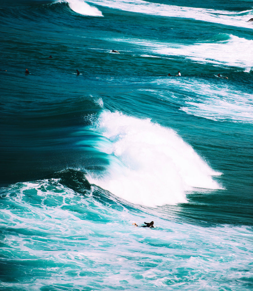 Eine Welle fangen. Bild von Annie Spratt