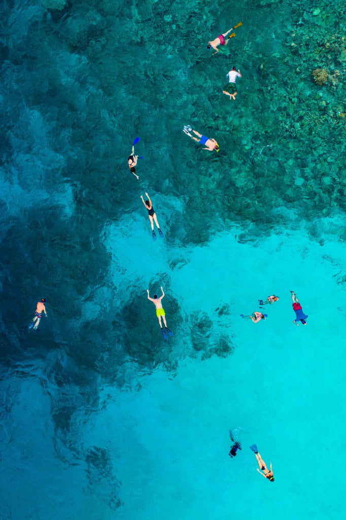 tourists snorkling