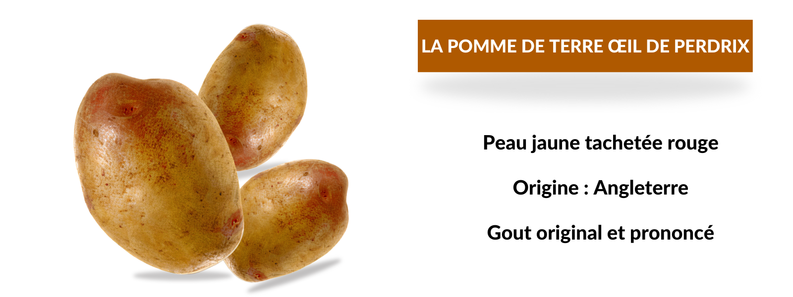 La Pomme de Terre Œil de Perdrix