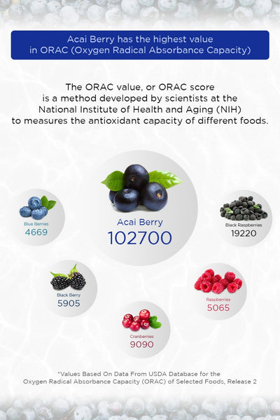 Importance of Acai Berry