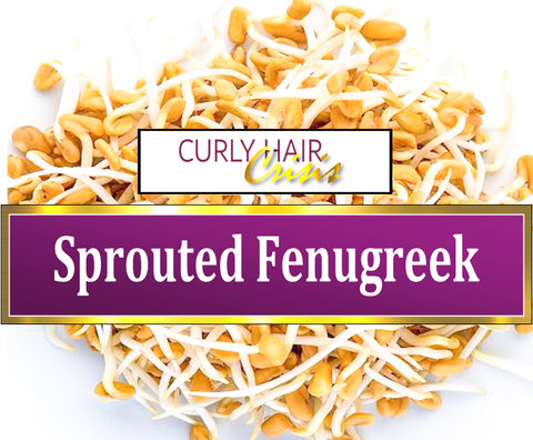 Sprouted Fenugreek Benefits