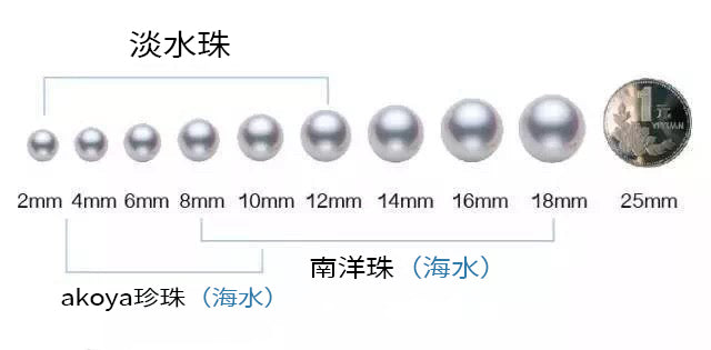 淡水珍珠V.S.海水珍珠