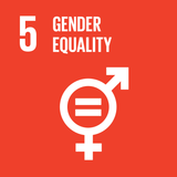 undp goal gender equality female founders