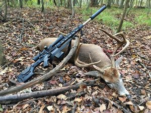 Rifle leaning up against a dead deer