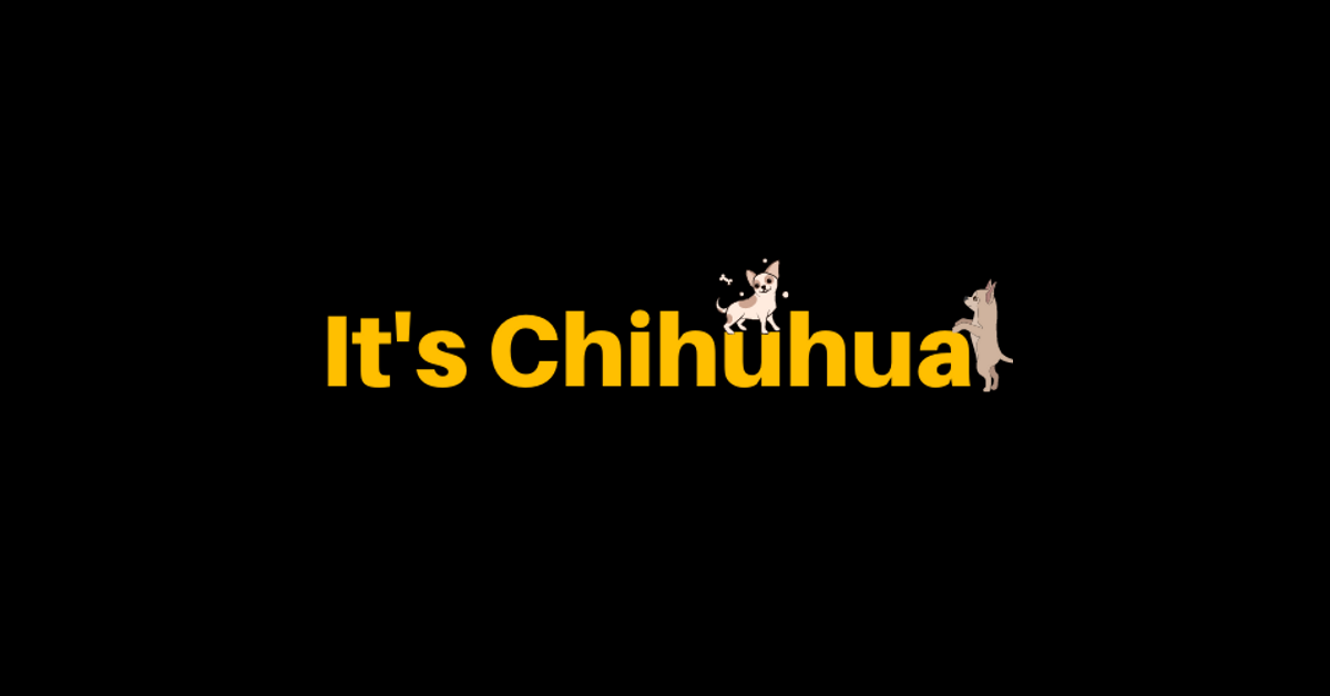 Itschihuahua