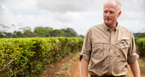 John Russell Chairman of Nerada Tea walking through Cairns plantation 