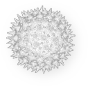 img-ad-cont-pollen_127x.png__PID:ef0283cd-9b5c-44fa-af37-84f45d1fa042
